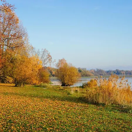 Wohnoffice Mit Uebernachtungsmoeglichkeit Residenz Fischbach Kiba