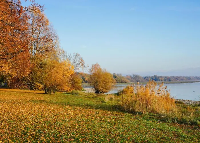 Wohnoffice Mit Uebernachtungsmoeglichkeit Residenz Fischbach Kiba