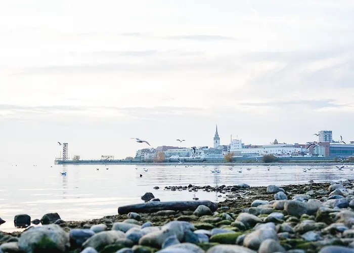 Apartamento Wohnoffice Mit Uebernachtungsmoeglichkeit Residenz Fischbach Kiba *